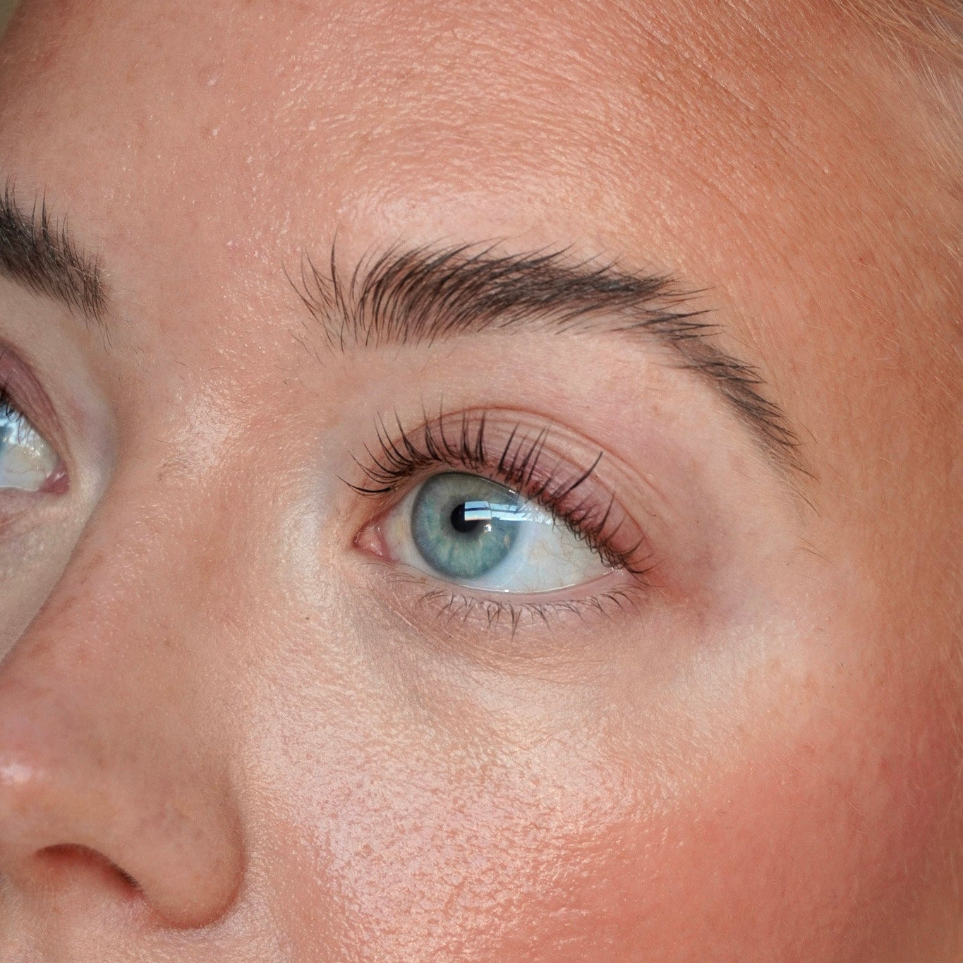 Close-up of an at-home eyelash lift and tint result 