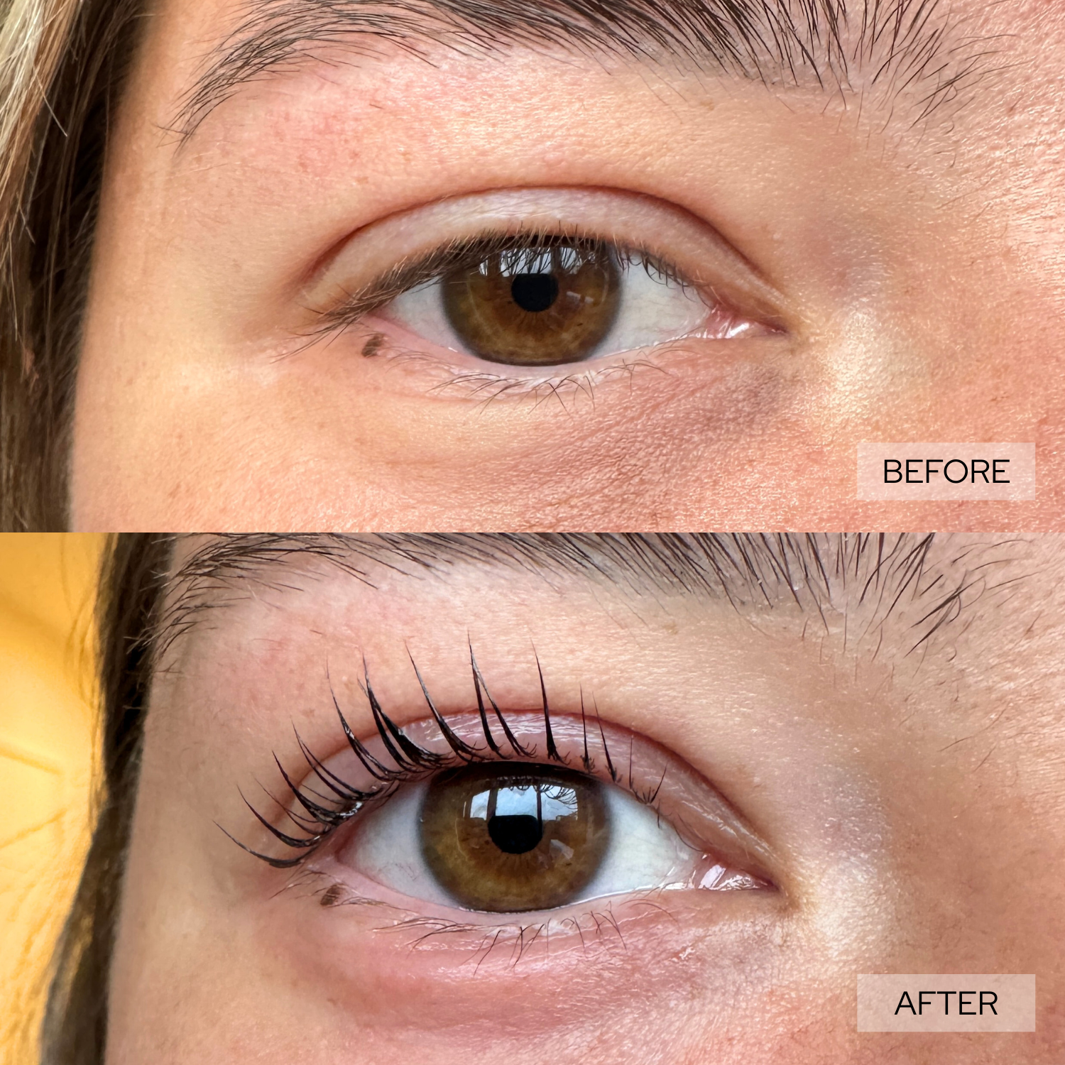 Lash lift before and after transformation with everbare